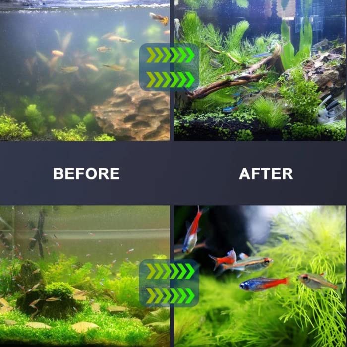 Bio filter outlet aquarium