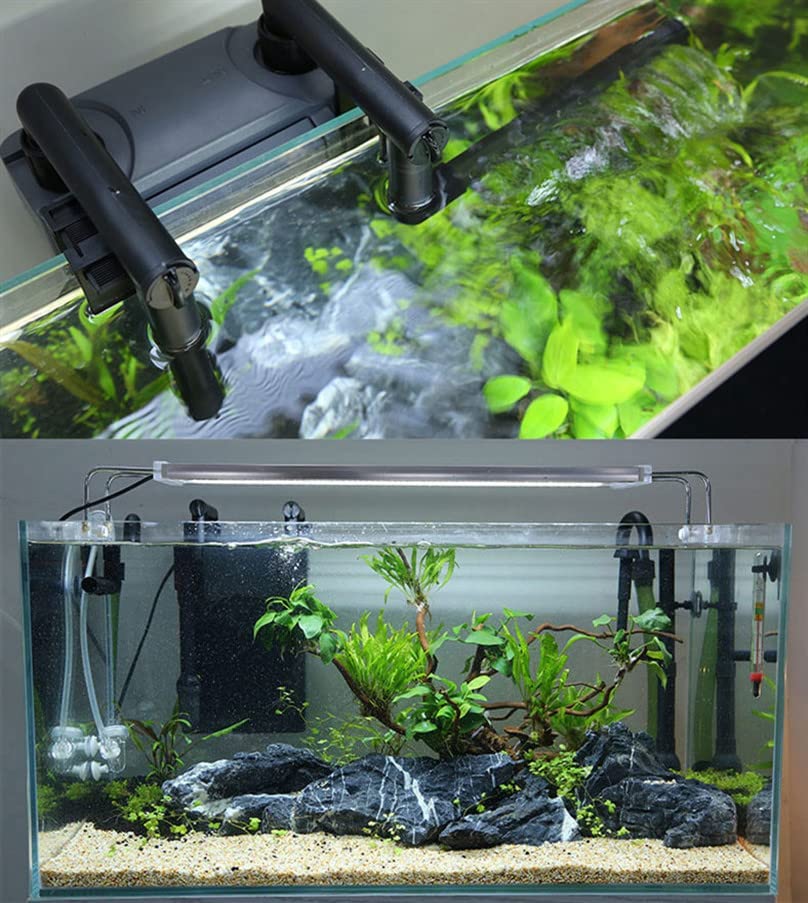 500l shop fish tank