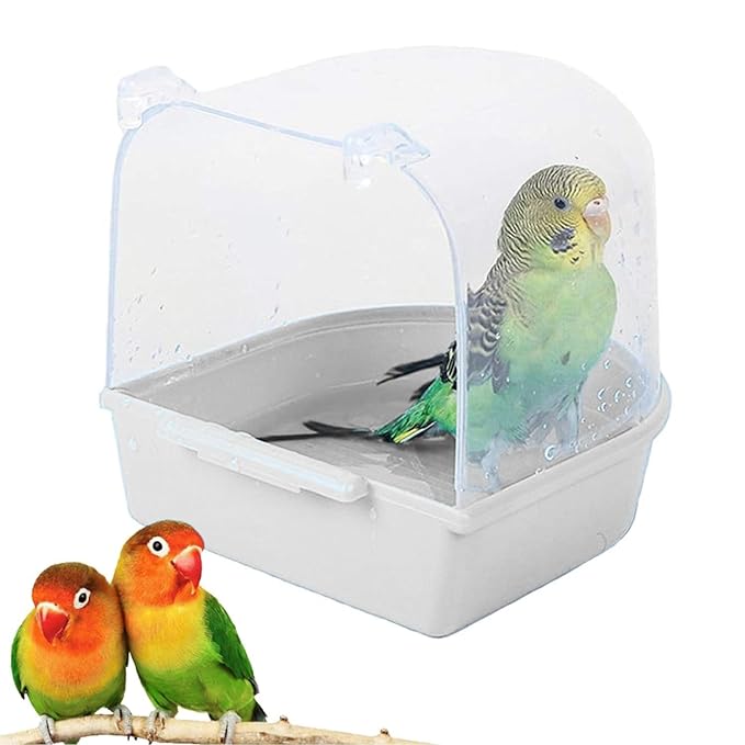 Accessories for parakeets hotsell