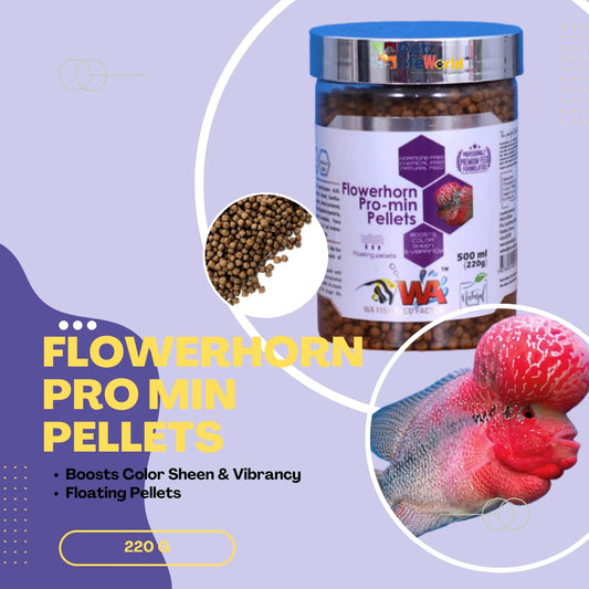 WA Flowerhorn Pro-min Pellets For Fish Food