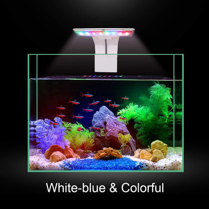 Petzlifeworld M-180 (White-WRGB) Super Slim LED Aquarium Light (Suits Upto 2 Feet Tank