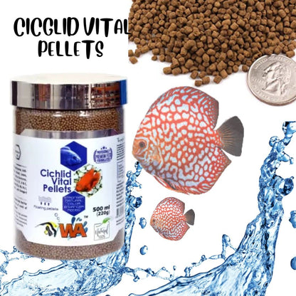 WA Cichild Vital Pellets Fish Food, 500ml (220G)