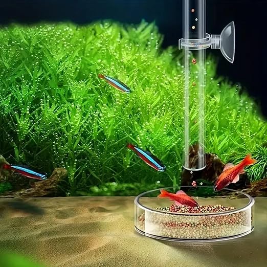 Petzlifeworld Aquarium Fish Shrimp Feeder Transparent Clear Glass Fish Feeder Tube with Suction Cup - Effortless & Clean Aquarium Feeding for Healthier Fish