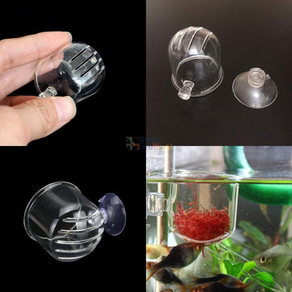 Petzlifeworld Transparent Acrylic Live Blood Worms Feeding Cone with Sucker for Aquarium Fish Tank