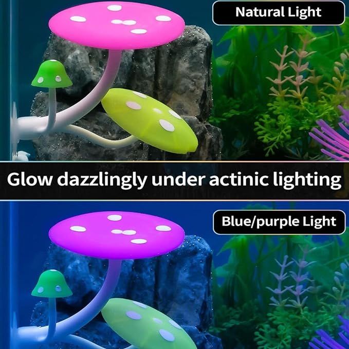 Petzlifeworld 1 Pcs Glowing Effect Betta Mushroom Hammock Soft Aquarium Rest Bed Fish Breeding Playing Pad with Suction Cup Silicone Ornament Decoration