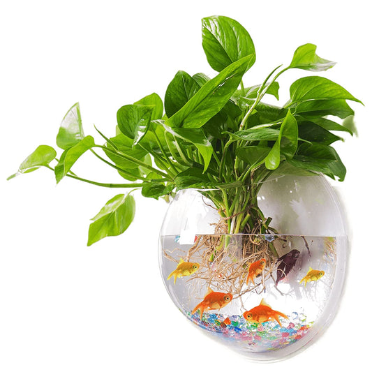 Petzlifeworld Acrylic White Wall Hanging Bowl (with Free Stones) for Fish and Indoor Water Plants Wall Decoration