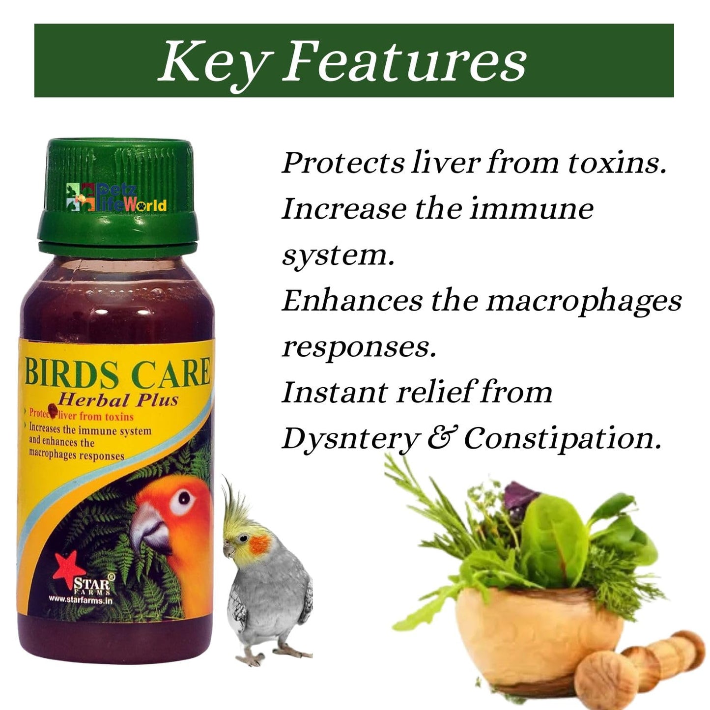 Petzlifeworld Birds Care Herbal Plus Tonic, 60 ML (Pack of 2) for All Birds Health Supplements