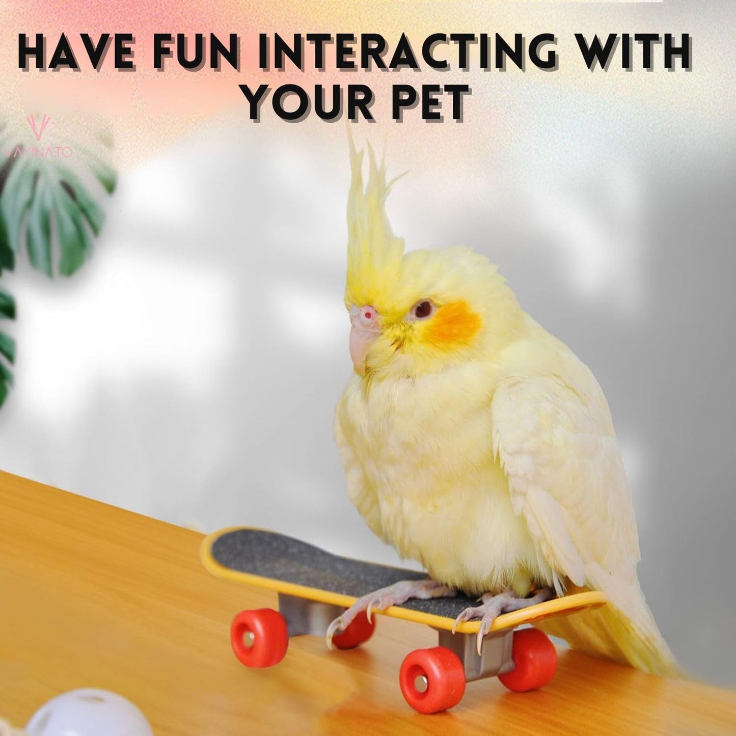 Petzlifeworld Bird Toys Parrot Toys Funny Intelligence Skateboard Toy Stand Perch Toy for Parakeet Cocktails Bird Training Accessories