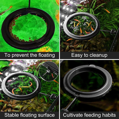 Petzlifeworld Floating Fish Feeding Ring (Round - Black) with Suction Cup