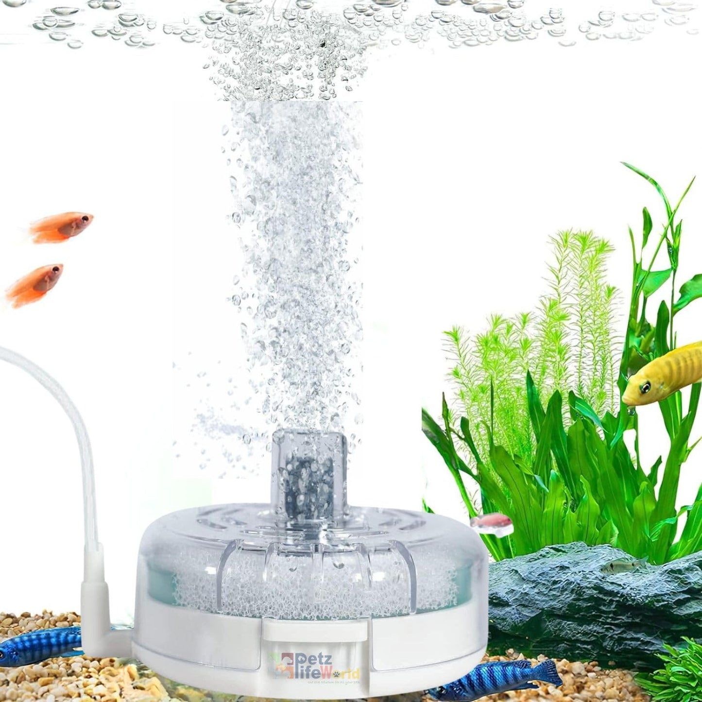 Petzlifeworld Mini Aquarium Submersible Sponge Filter