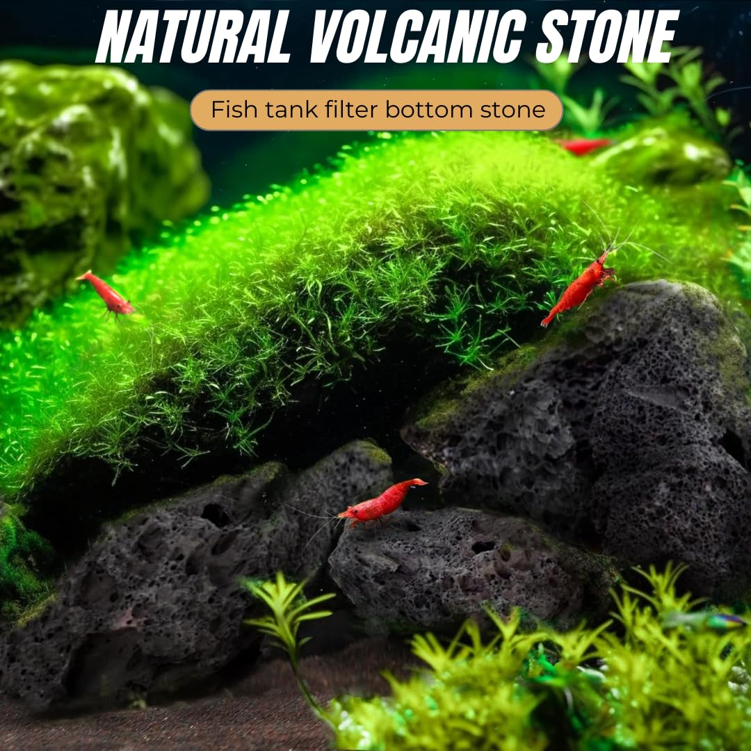 Petzlifeworld Natural Volcanic Black Lava Rocks, Versatile Pebbles for Fish Tank Landscaping