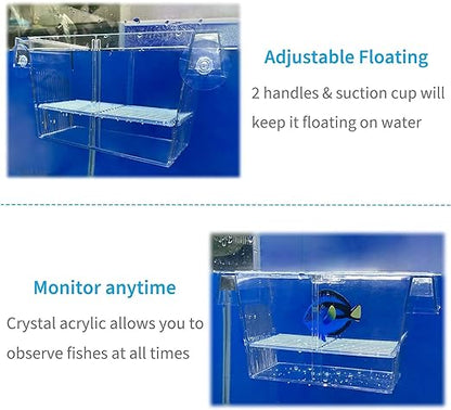 Chicos Double Long Guppy Fish Breeding Tank Fish Hatchery Acrylic FH-101