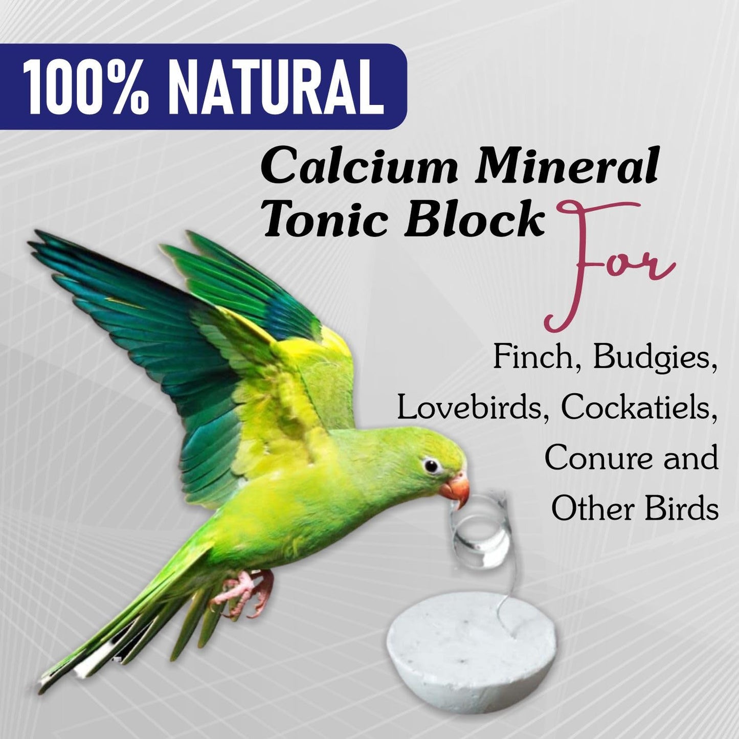 Petzlifeworld 12 Pcs Birds Natural Calcium Mineral Tonic Block for Finch, Budgies, Lovebirds, Cockatiels, Conure and Other Birds