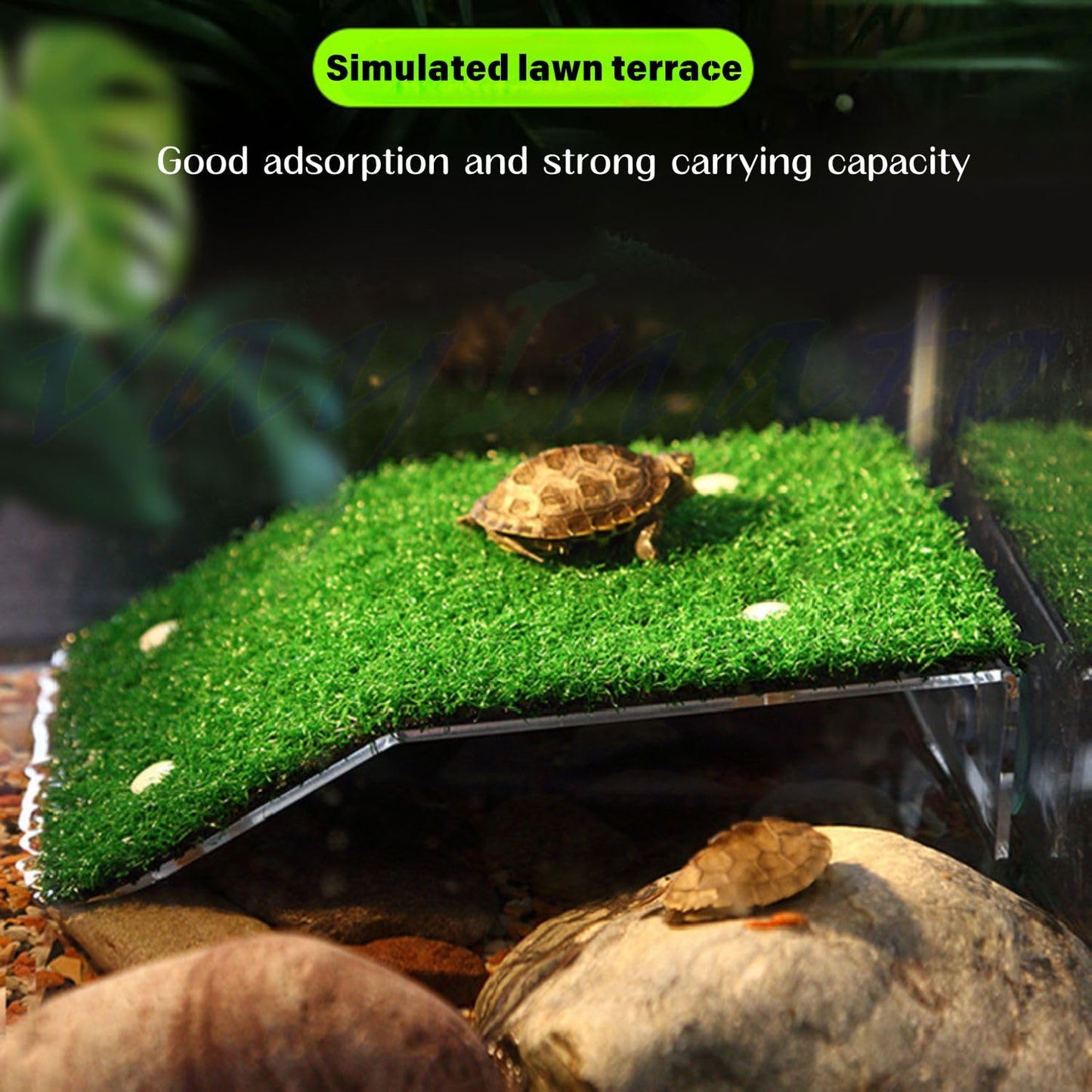 Petzlifeworld Acrylic (CP-200) Turtle Basking Platform Simulation Grass Tortoise Resting Terrace with Artificial Lawns