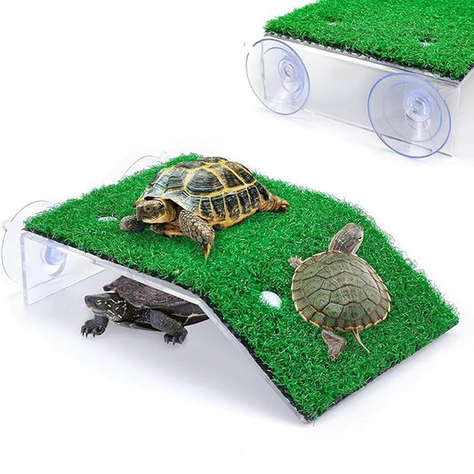 Petzlifeworld Acrylic (CP-120) Turtle Basking Platform Simulation Grass Tortoise Resting Terrace with Artificial Lawns Turtle Ramp Climbing Ladder Decor with Suction Cup