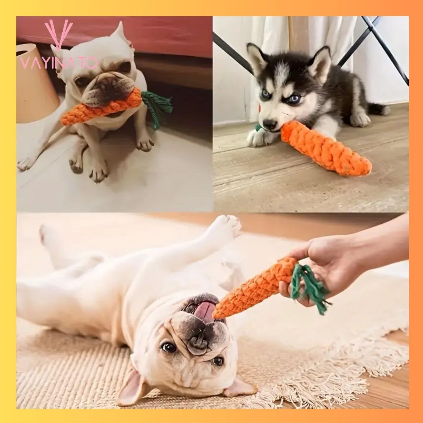 Petzlifeworld 1 Pcs Handmade Interactive Carrot-Shaped Dog & Cat Chew Toy | Cotton Rope Knot Pet Play Toy