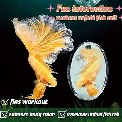 Petzlifeworld 4Cm Double Sided Betta Mirror Plaything for Fish Tank, Betta Exercise Mirror Circle Exercise Mirror with Floating Ball | Smooth Edges