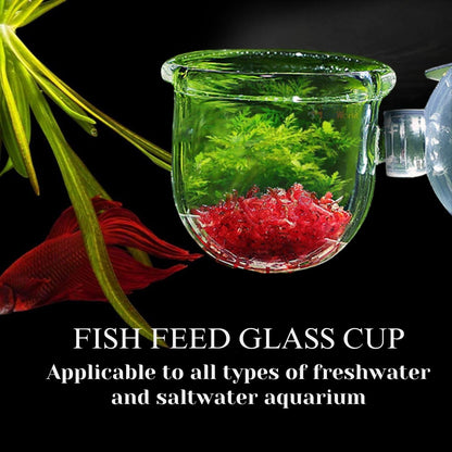 Petzlifeworld Transparent Acrylic Live Blood Worms Feeding Cone with Sucker for Aquarium Fish Tank