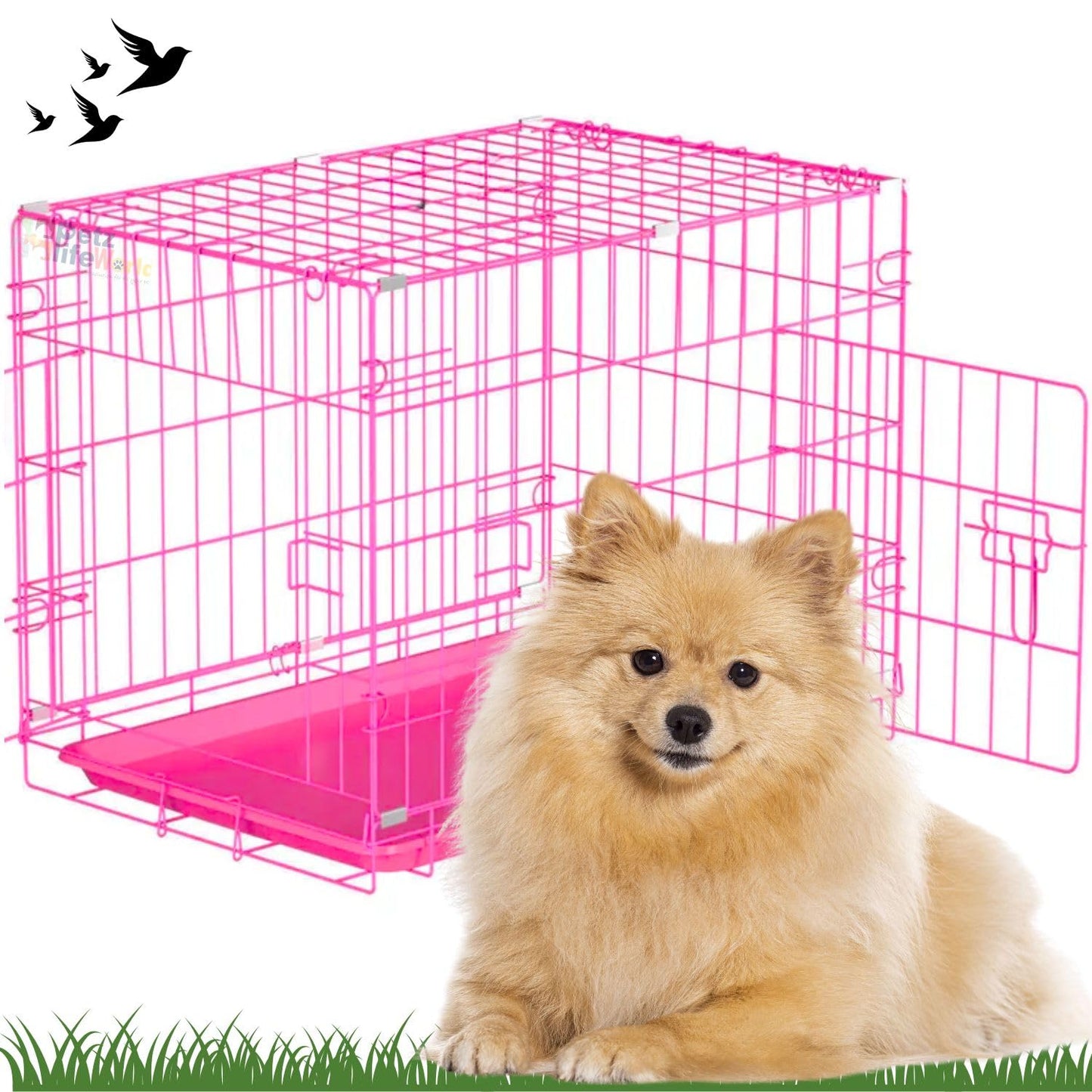 Petzlifeworld 2 Feet (24 Inch) Dog Cage with Removable Tray, Double Door Folding Dog Cage