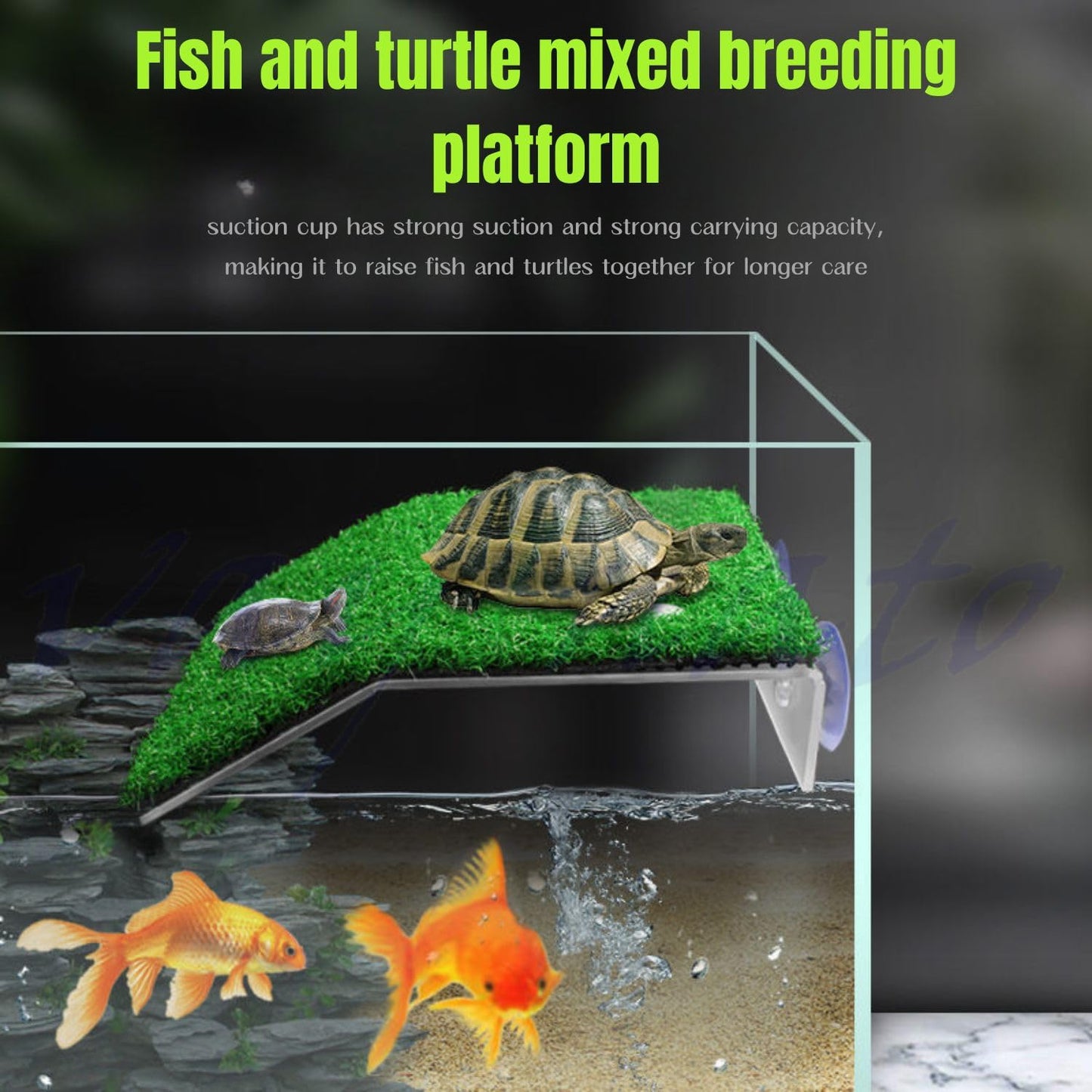 Petzlifeworld Acrylic (CP-200) Turtle Basking Platform Simulation Grass Tortoise Resting Terrace with Artificial Lawns