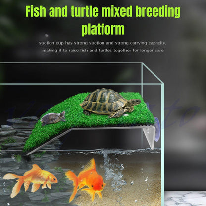 Petzlifeworld Acrylic (CP-200) Turtle Basking Platform Simulation Grass Tortoise Resting Terrace with Artificial Lawns