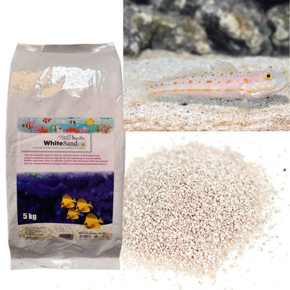 Aquatic Remedies Wild Pacific White Sand, 5 Kg | Imported Natural White Sand For Marine Aquarium