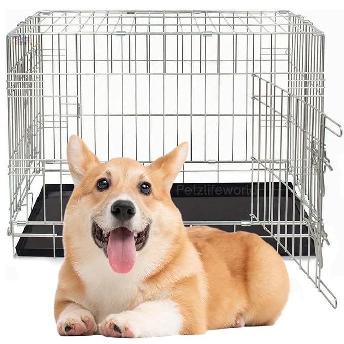 Petzlifeworld 2 Feet 24 Inch Stainless Steel Dog Cage with Removable PetzLifeWorld