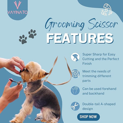 Petzlifeworld 2 in 1 Pet Grooming Accessories (Stainless Steel Needle Flea Comb & Scissor) Removes Tangles, Knots & Tear Stains, Fleas, Ticks, Effective Beauty | Professional Pet Trimming Scissors