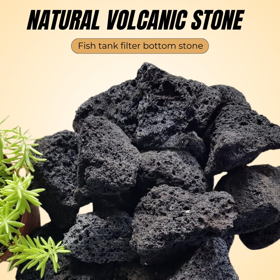 Petzlifeworld Natural Volcanic Black Lava Rocks, Versatile Pebbles for Fish Tank Landscaping