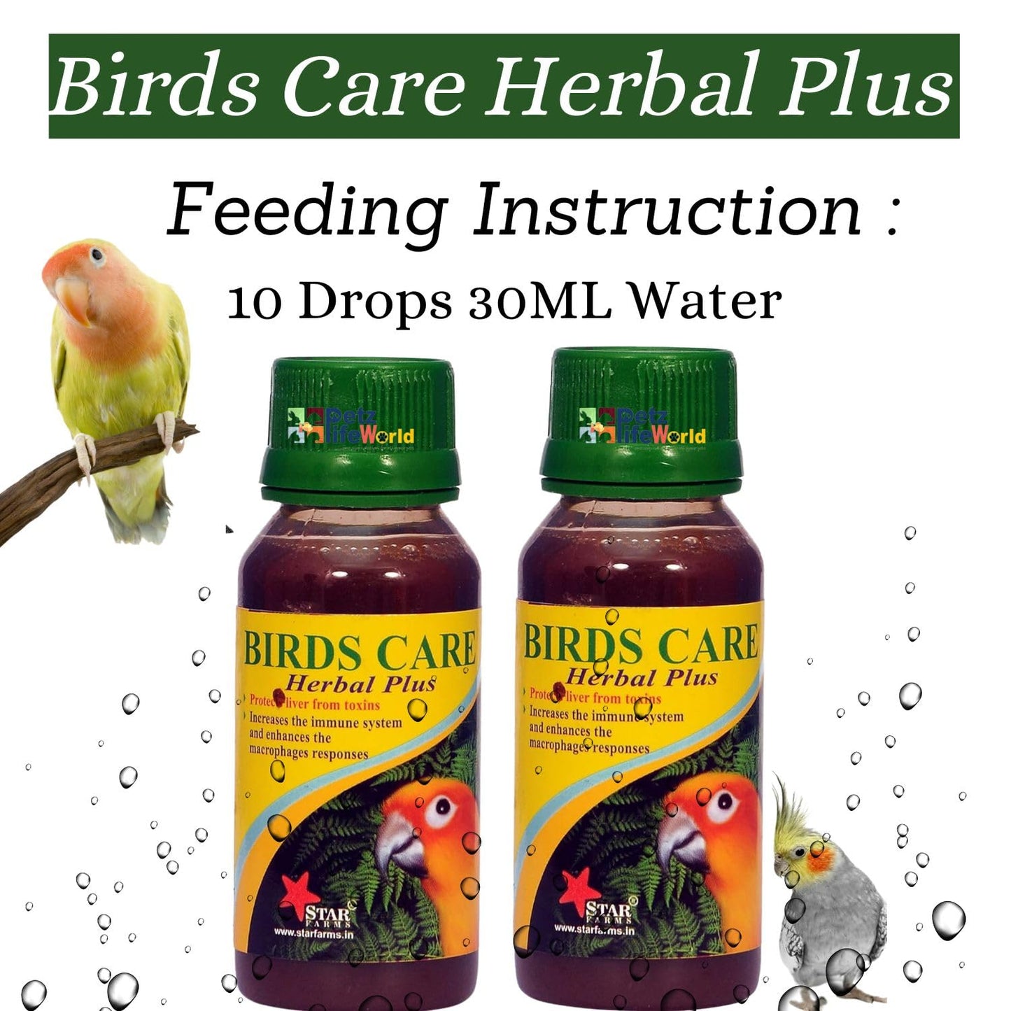 Petzlifeworld Birds Care Herbal Plus Tonic, 60 ML (Pack of 2) for All Birds Health Supplements