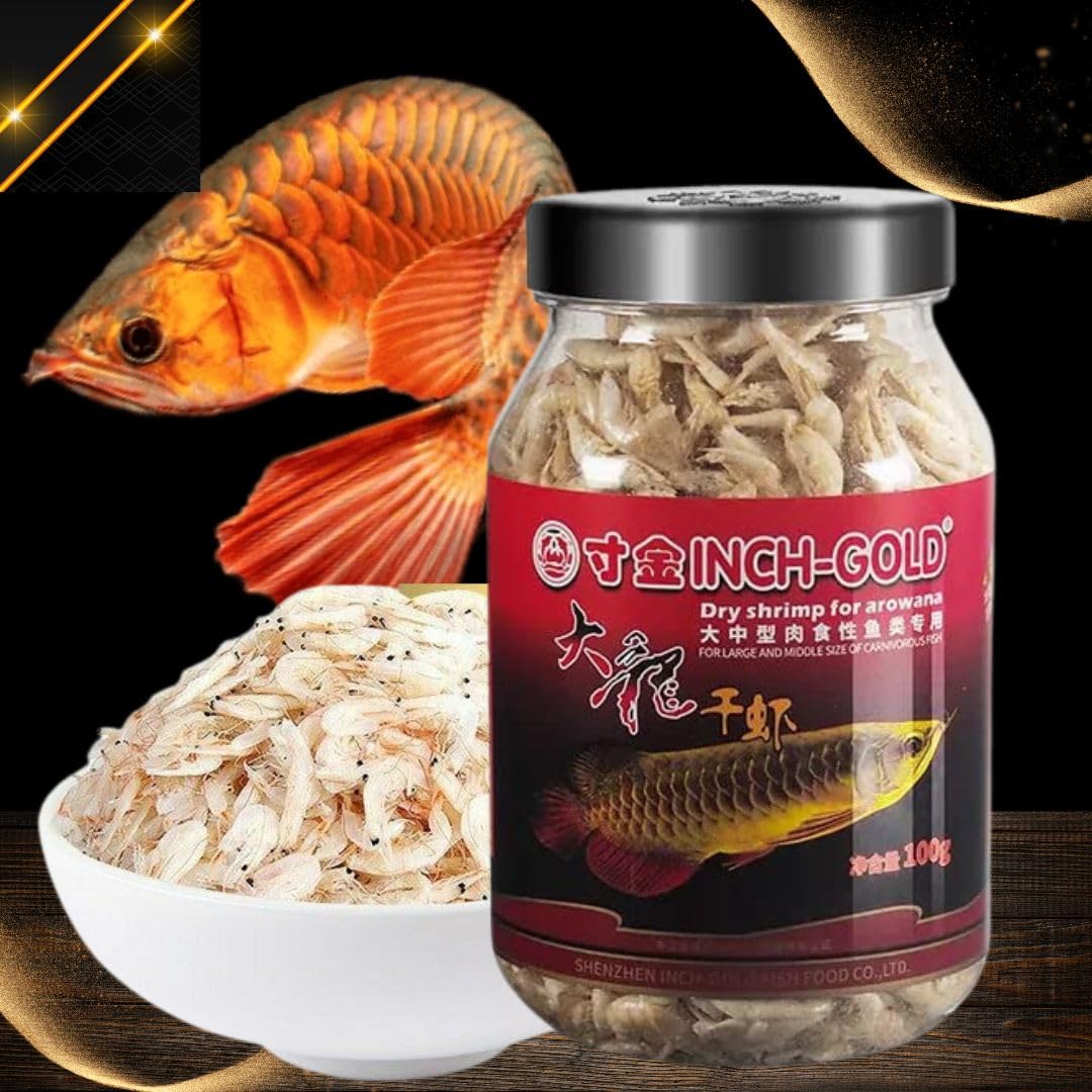 Inch Gold Dry Shrimp for Arowana, 100G for Large and Middle Size of Carnivorous Fish