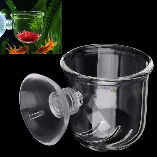 Petzlifeworld Transparent Acrylic Live Blood Worms Feeding Cone with Sucker for Aquarium Fish Tank