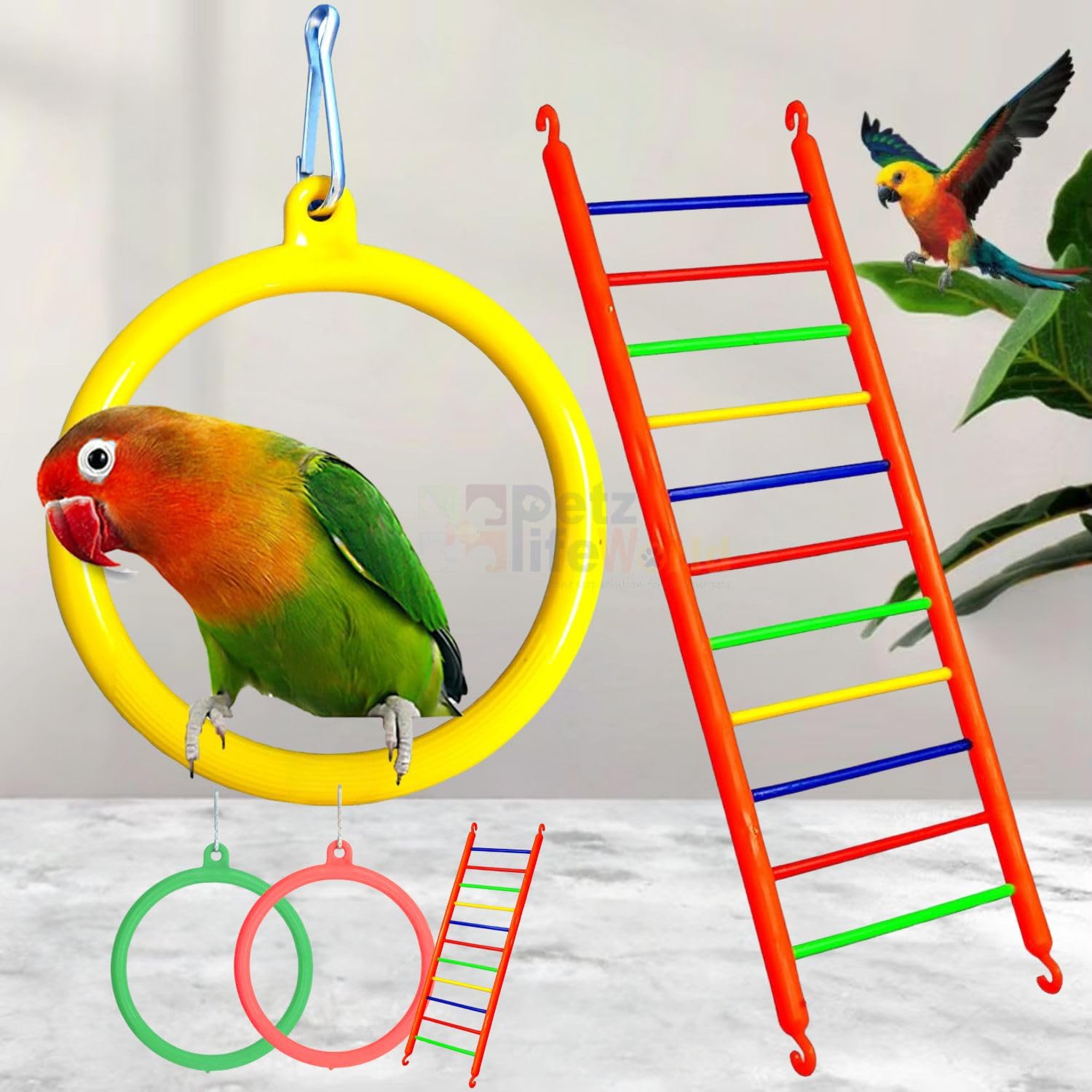 Petzlifeworld 3 Pcs Bird Cage Hanging Toys 2 Pcs Ring 1 Pcs Ladd PetzLifeWorld