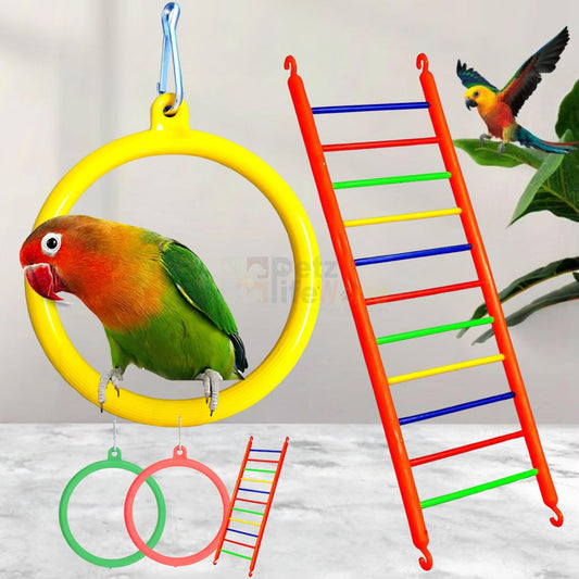 Petzlifeworld (3 Pcs) Bird Cage Hanging Toys, (2 Pcs Ring + 1 Pcs Ladder) Combo for Cockatiel, Love Bird