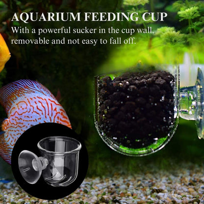 Petzlifeworld Transparent Acrylic Live Blood Worms Feeding Cone with Sucker for Aquarium Fish Tank