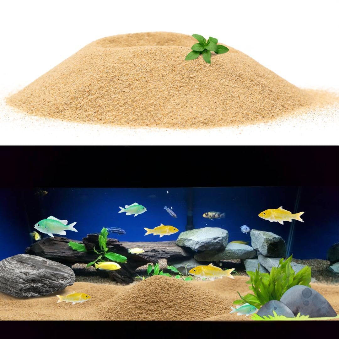 Petzlifeworld 2.5 Kg Natural Nile River Sand for Aquarium Fish Tank