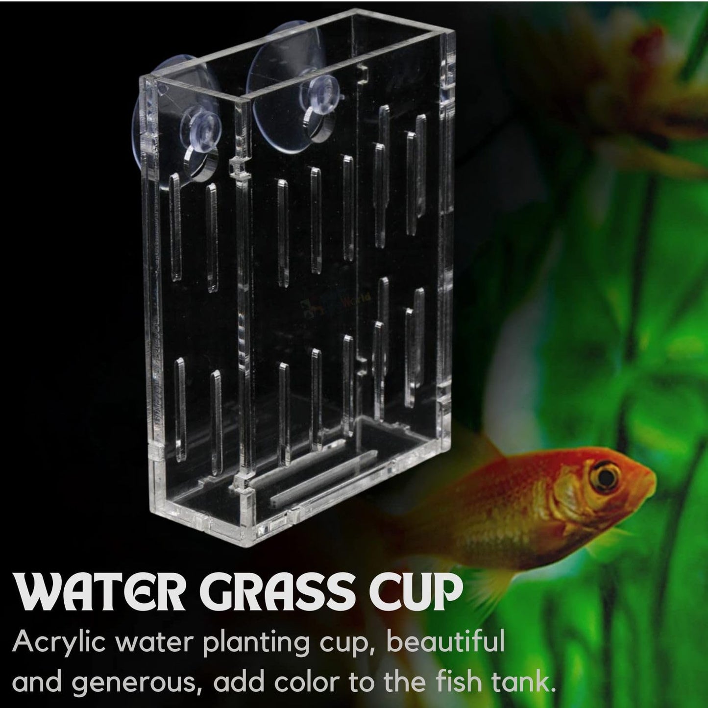 Petzlifeworld 2 PcsAcrylic Transparent Water Plant Holder with Strong Suction Cup