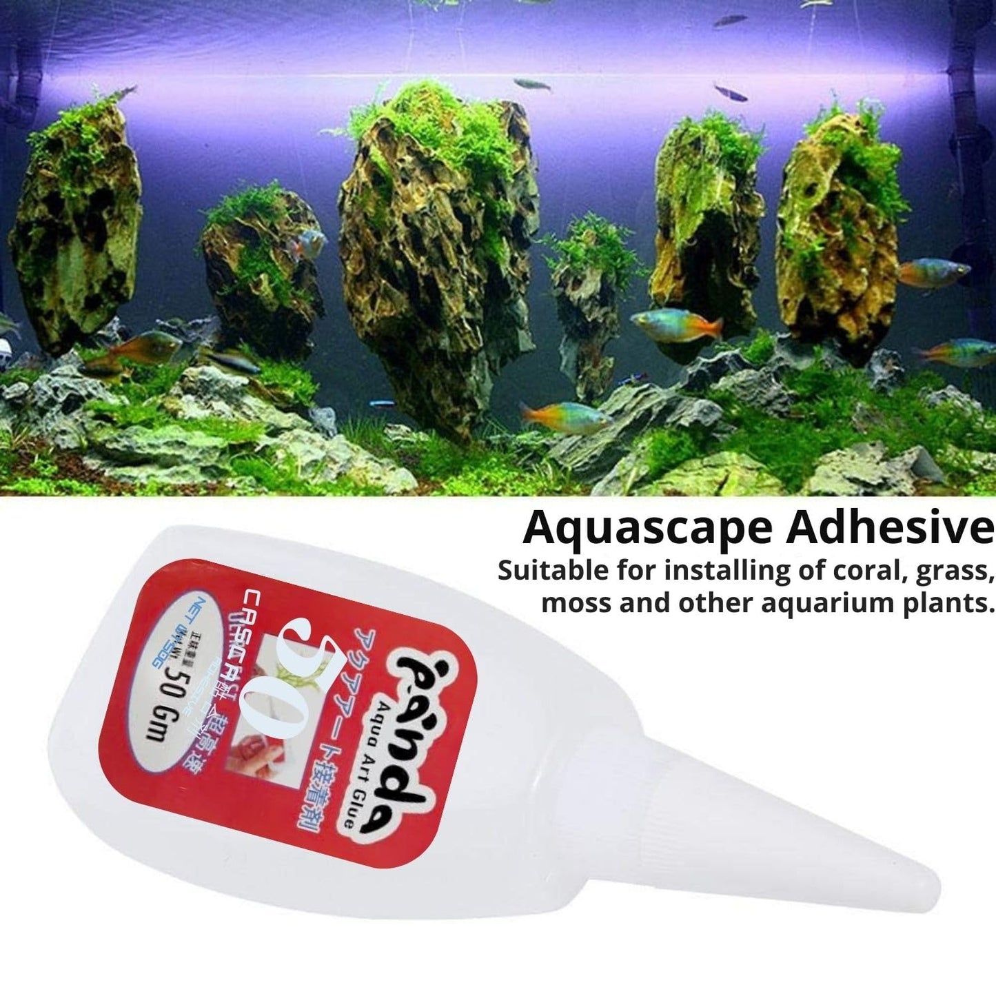 Petzlifeworld 50Gram Panda Glue for Aqua Scaping