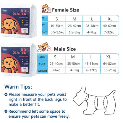 PetzLifeworld Male Env-Friendly Disposable 12 Pcs Pack Diaper for Dog and Cat