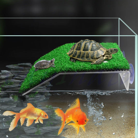 Petzlifeworld Acrylic (CP-200) Turtle Basking Platform Simulation Grass Tortoise Resting Terrace with Artificial Lawns