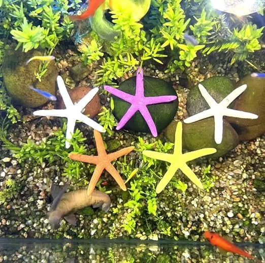 PetzLifeworld 4 Pcs Artificial Simulation Mixed Colour Starfish Decoration for Aquarium Fish Tank,Arts and Crafts | Looks Like Real | Colour Wont Fade