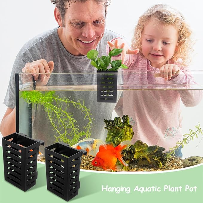 Petzlifeworld 2 Pcs Black Hanging Water Plant Holder (Box Type) Pot for Aquarium Fish Tank, Aquaponics and Hydroponics with Hooks and Suction Cups for Easy Installation