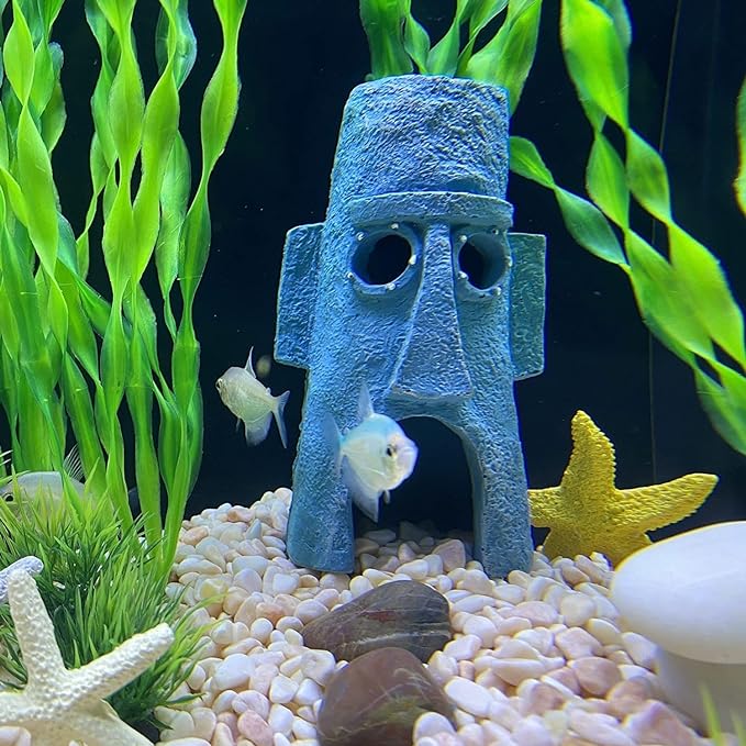 Petzlifeworld Spongebob Squidward's House Fish Hiding Cave for Fish Tank Decoration | Non-Toxic and Safe for Both Fish and Aquatic Plants Perfect for Fresh & Saltwater Tanks