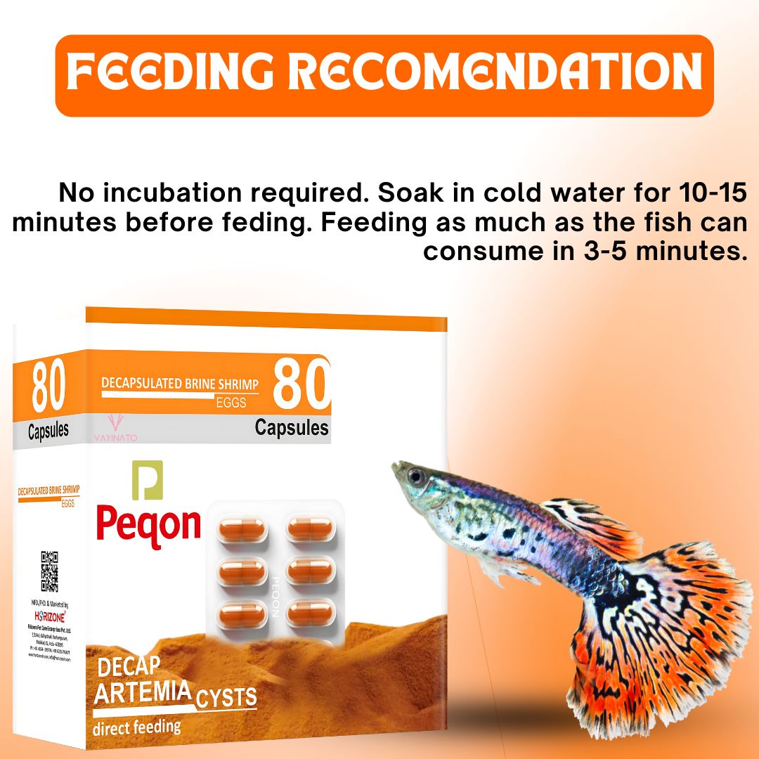 Peqon Decapsulated Brine Shrimp Eggs, No Hatching Required | Shell-Free, High-Protein Nutritional Feed