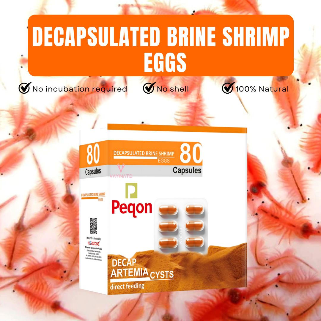 Peqon Decapsulated Brine Shrimp Eggs, No Hatching Required | Shell-Free, High-Protein Nutritional Feed