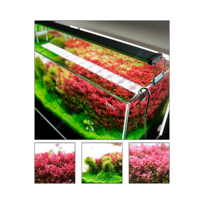 Chihiros Aquarium Lights - Aquarium Light for Freshwater Fish Tank - Aquarium LED Light - Full Spectrum Aquarium Planted Light