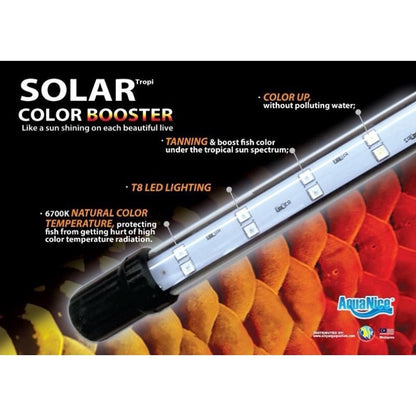 Neo Helios Solar Booster Arowana Tanning Light