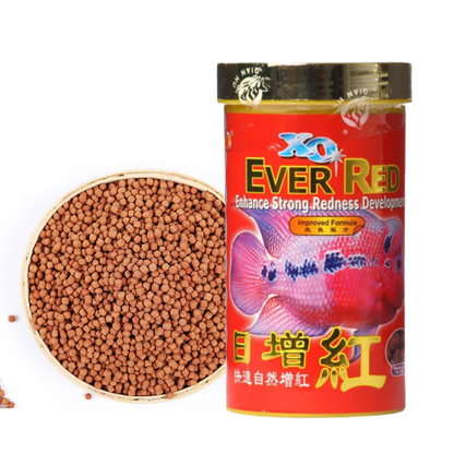 Ocean Free XO Ever Red (Original) Fish Food, 280ML/100G | Enhance Strong Redness Development for Flowerhorn Fish