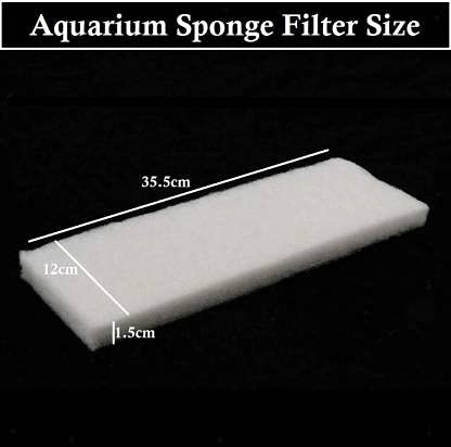 Top best sale filter sponge