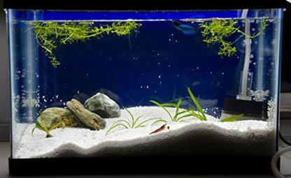 Petzlifeworld Aquarium White Sugar Sand - PetzLifeWorld